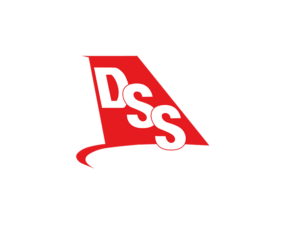 Dss-300x225
